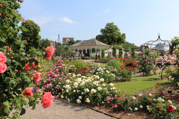 Office de Tourisme du Pays de Saverne Office de Tourisme du Pays de Saverne