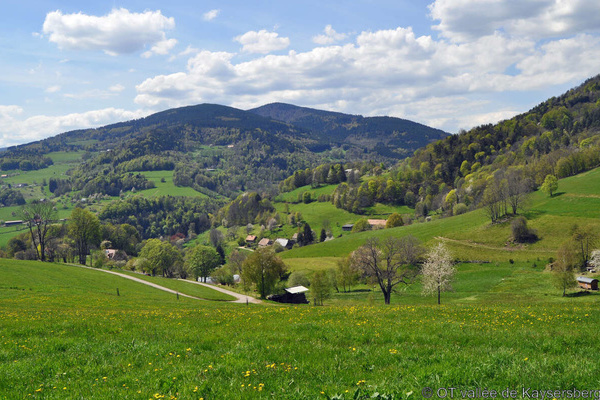 Lapoutroie © OT vallée de Kaysersberg Lapoutroie © OT vallée de Kaysersberg