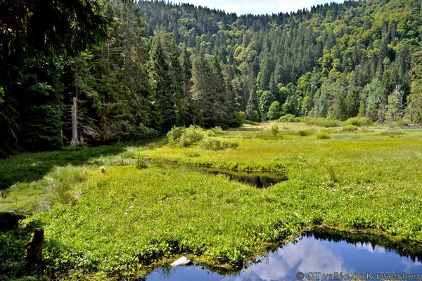Lapoutroie © OT vallée de Kaysersberg Lapoutroie © OT vallée de Kaysersberg
